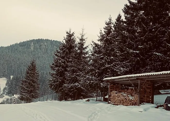 Na Samote U Noemi Komjatna